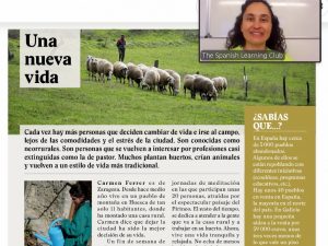 Online courses - Intermediate course